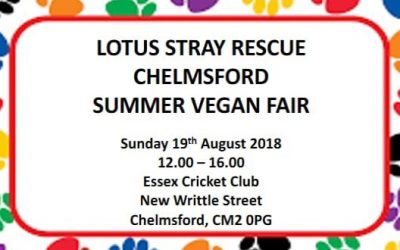 Lotus Stray Rescue Summer Vegan Fair – Sunday 19th August 2018